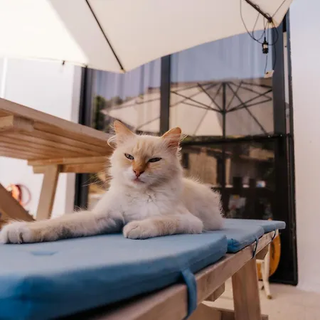 Villeni Panorama Oktonia Apartament *